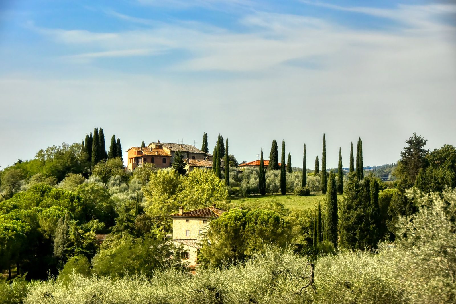 Best Multigenerational Family Trips