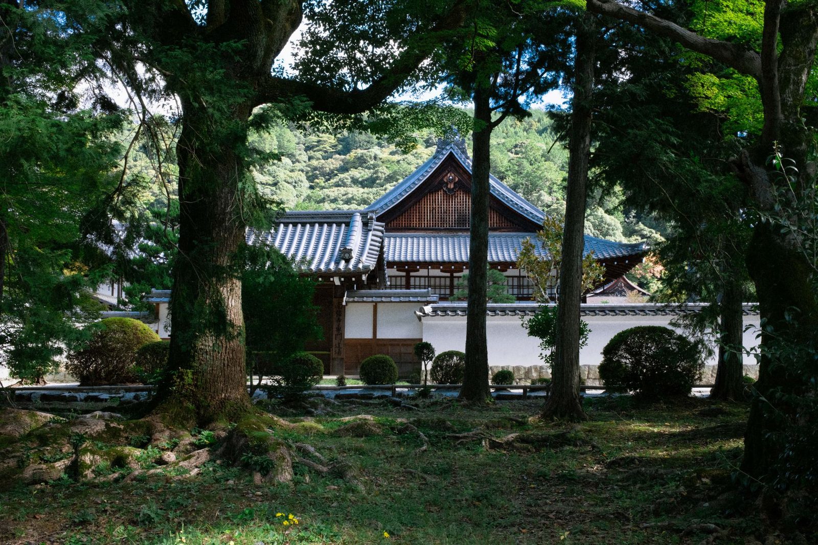 Best Silent Retreats and Monasteries That Take Guests